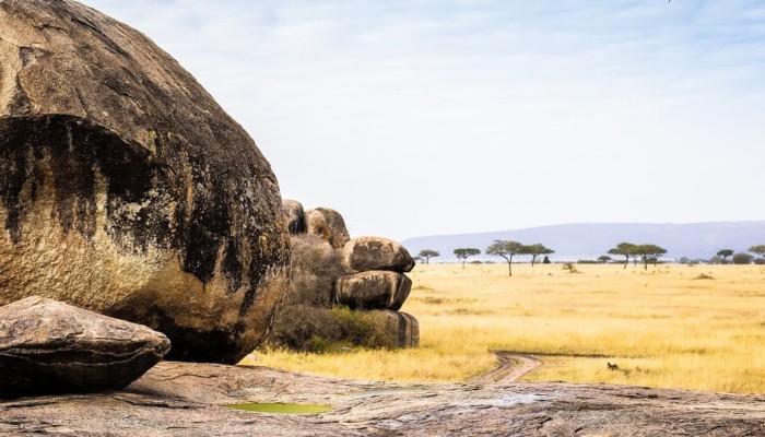 Serengeti Balloon Safaris