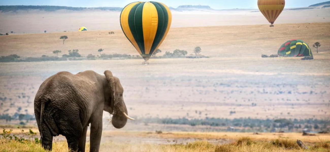 Bush to Beach Luxury Safari