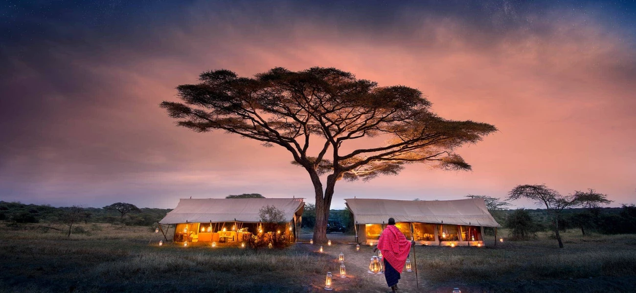 10 Day Northern Tanzania Wildlife Extravaganza Tarangire Lake Manyara Ngorongoro and Serengeti