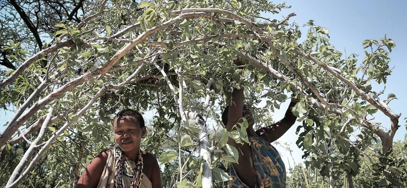 10-Day Specialised Wildlife and Cultural Safari in Northern Tanzania: Conservation Focus