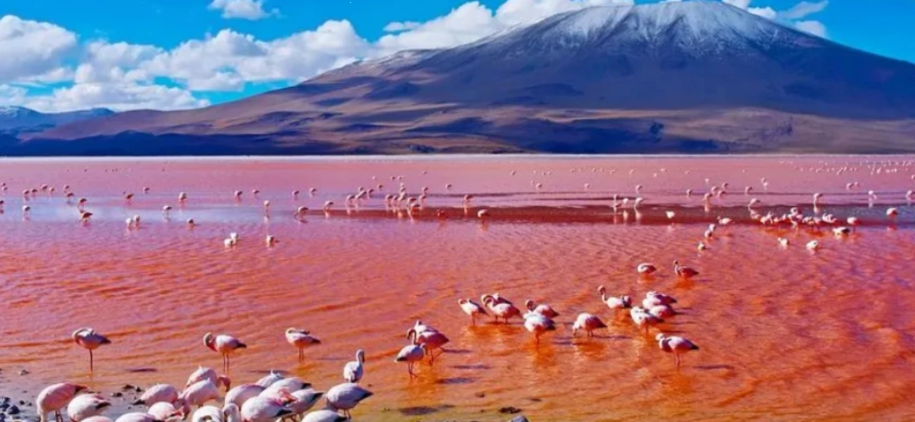 11 Day Tanzania Birding Safari Northern Circuit Birdwatching Paradise