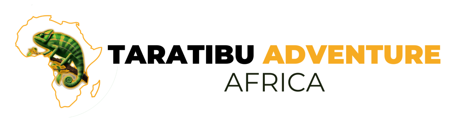 Taratibu adventure Africa