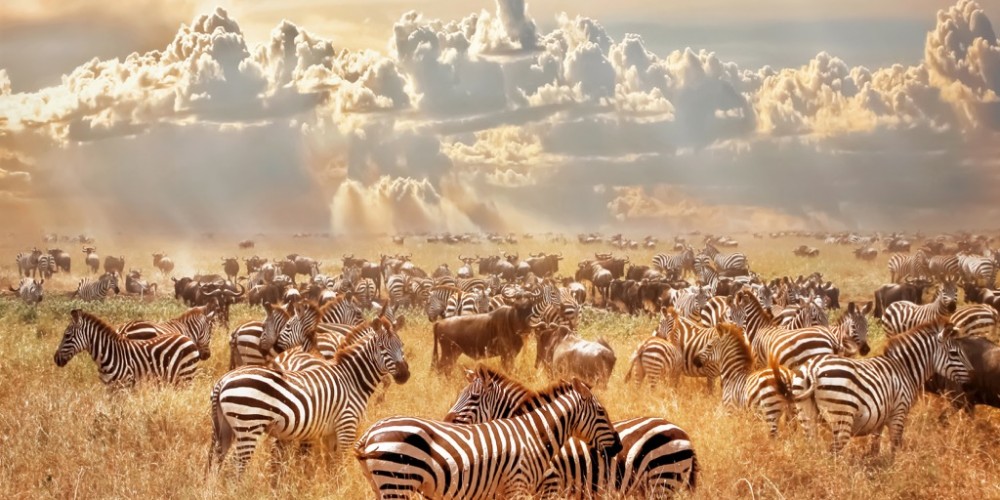 Serengeti National Park