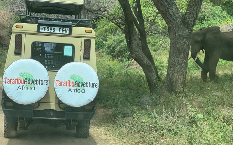 At Taratibu Adventure Africa