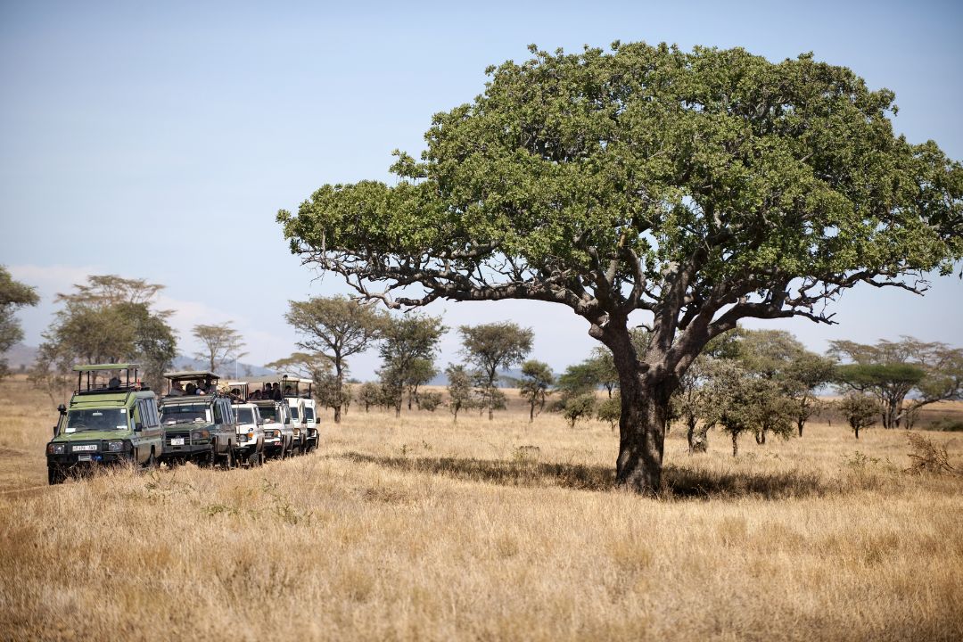 Serengeti-National-Park-2.jpg