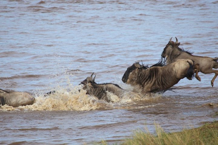 Taratibu Adventure Africa